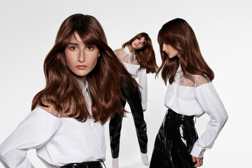 Dia Light - French Blending | L'Or&eacute;al Partner Shop